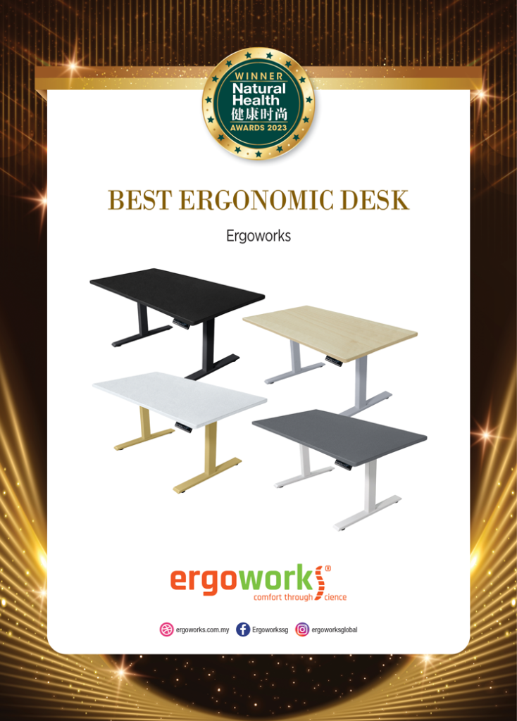 Ergoworks Ergonomic Desk NaturalHealth Healthy Beauty Wellness