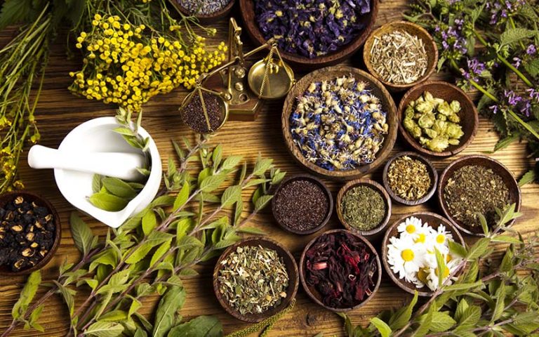 The Phytotherapy Management and Prevention of Cancer